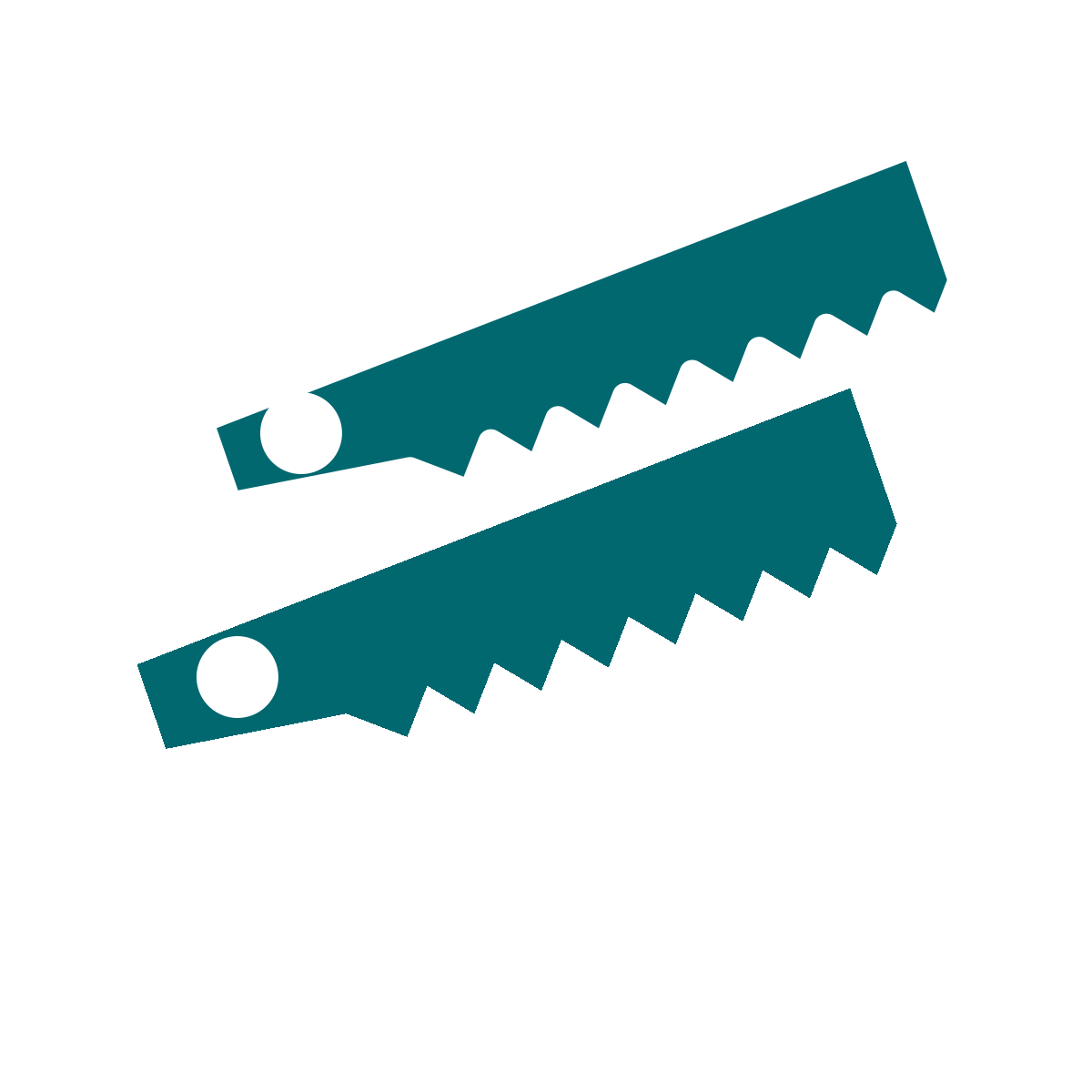 RECIPROCATING SAW BLADES
